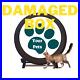 Cat-Exercise-Wheel-Cat-Toys-Indoor-Cats-Cat-Exercise-from-Your-Pets-01-ehcl