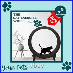 Cat Exercise Wheel Cat Toys Indoor Cats Cat Exercise from Your-Pets