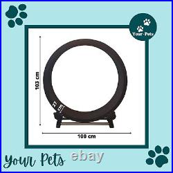 Cat Exercise Wheel Cat Toys Indoor Cats Cat Exercise from Your-Pets