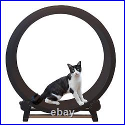 Cat Exercise Wheel Cat Toys Indoor Cats Cat Exercise from Your-Pets
