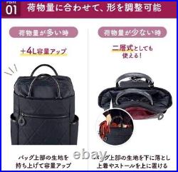 Shopping bags wheels shopping carts reusable D-585 Citero VI Black From JP New